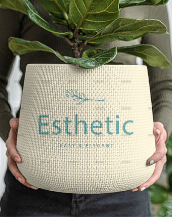 demo-attachment-205-Rectangle-6